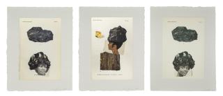 Lorna Simpson - Black Gem