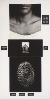 Lorna Simpson - Counting