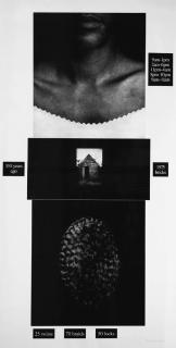 Lorna Simpson - Counting