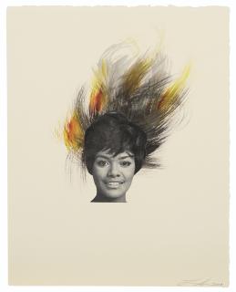 Lorna Simpson - Ebony 8