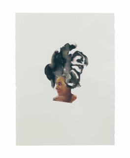 Lorna Simpson - Going Grey