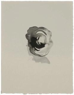 Lorna Simpson - Head G