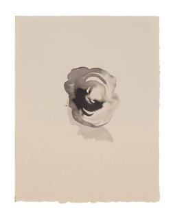 Lorna Simpson - Head G