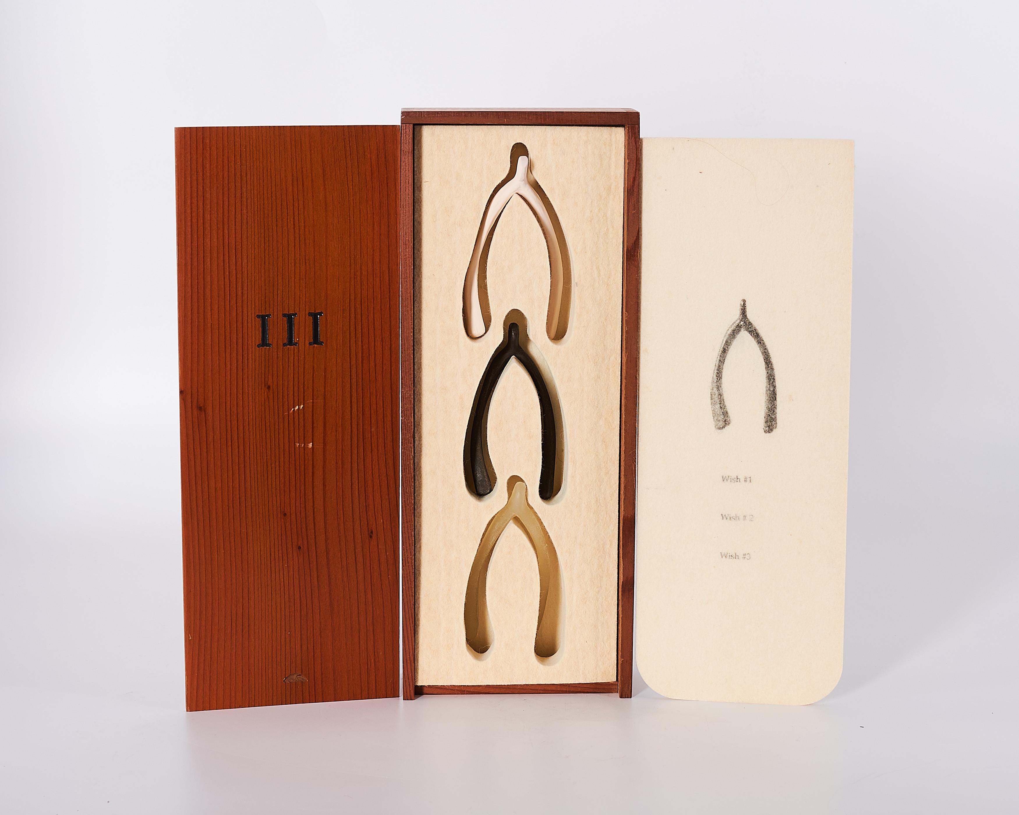 Lorna Simpson - III (Peter Norton Family Christmas Project).