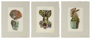 Lorna Simpson - Ultra Terrestrial