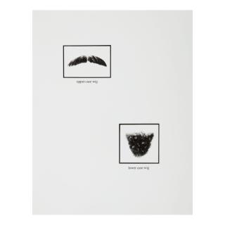 Lorna Simpson - Untitled (Upper-Case And Lower-Case Wigs)