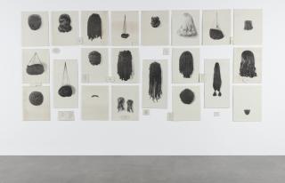 Lorna Simpson - Wigs (Portfolio)