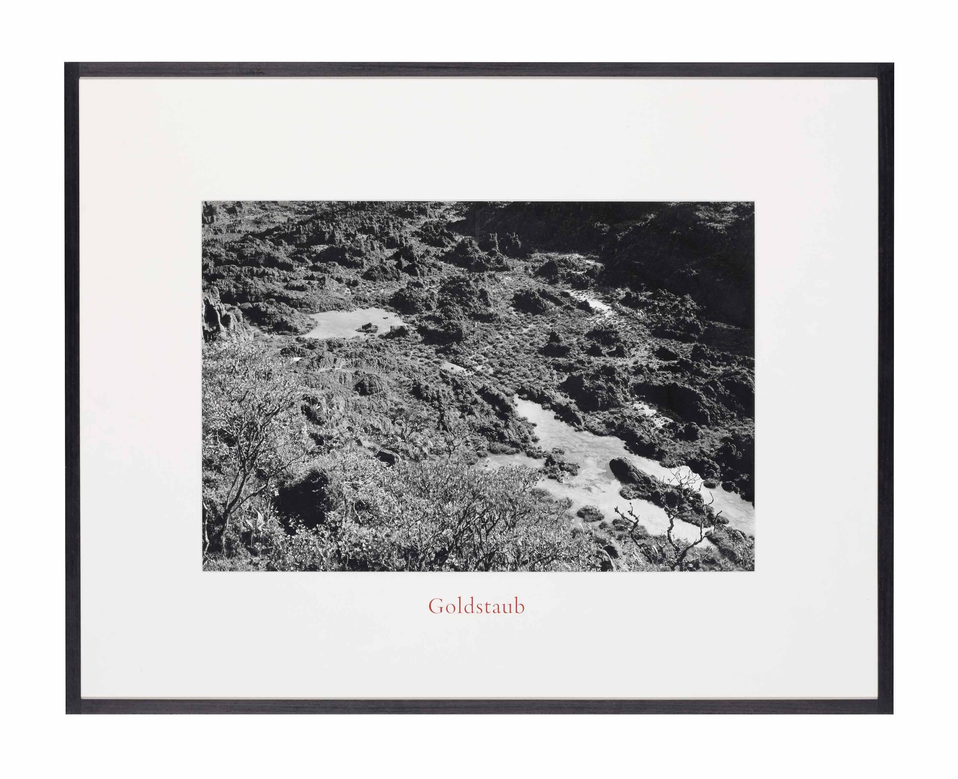 Lothar Baumgarten - Goldstaub (Gold Dust)