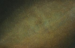 Lothar Quinte - Ohne Titel.