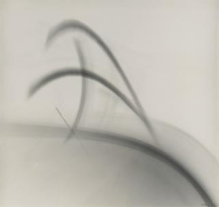 Lotte Jacobi - Original Photogenic\'