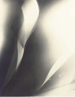 Lotte Jacobi - Photogenic, 1946-1955