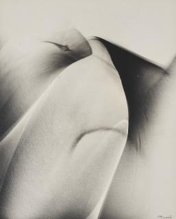 Lotte Jacobi - Photogenic, c.1950s