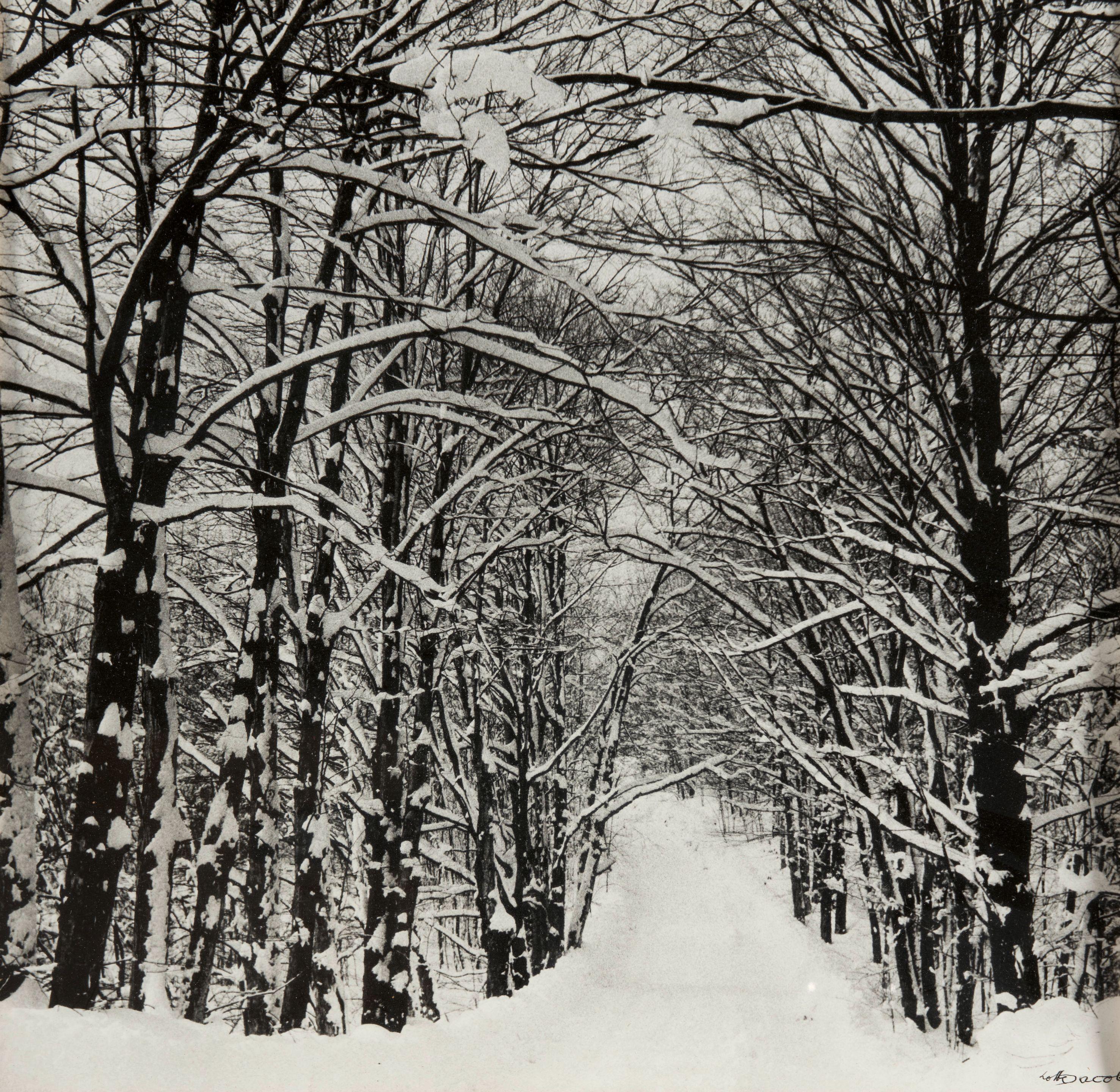Lotte Jacobi - Two Landscape Photographs 2