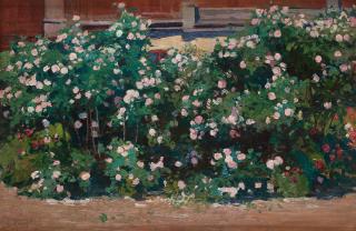 Lotten Rönquist - \