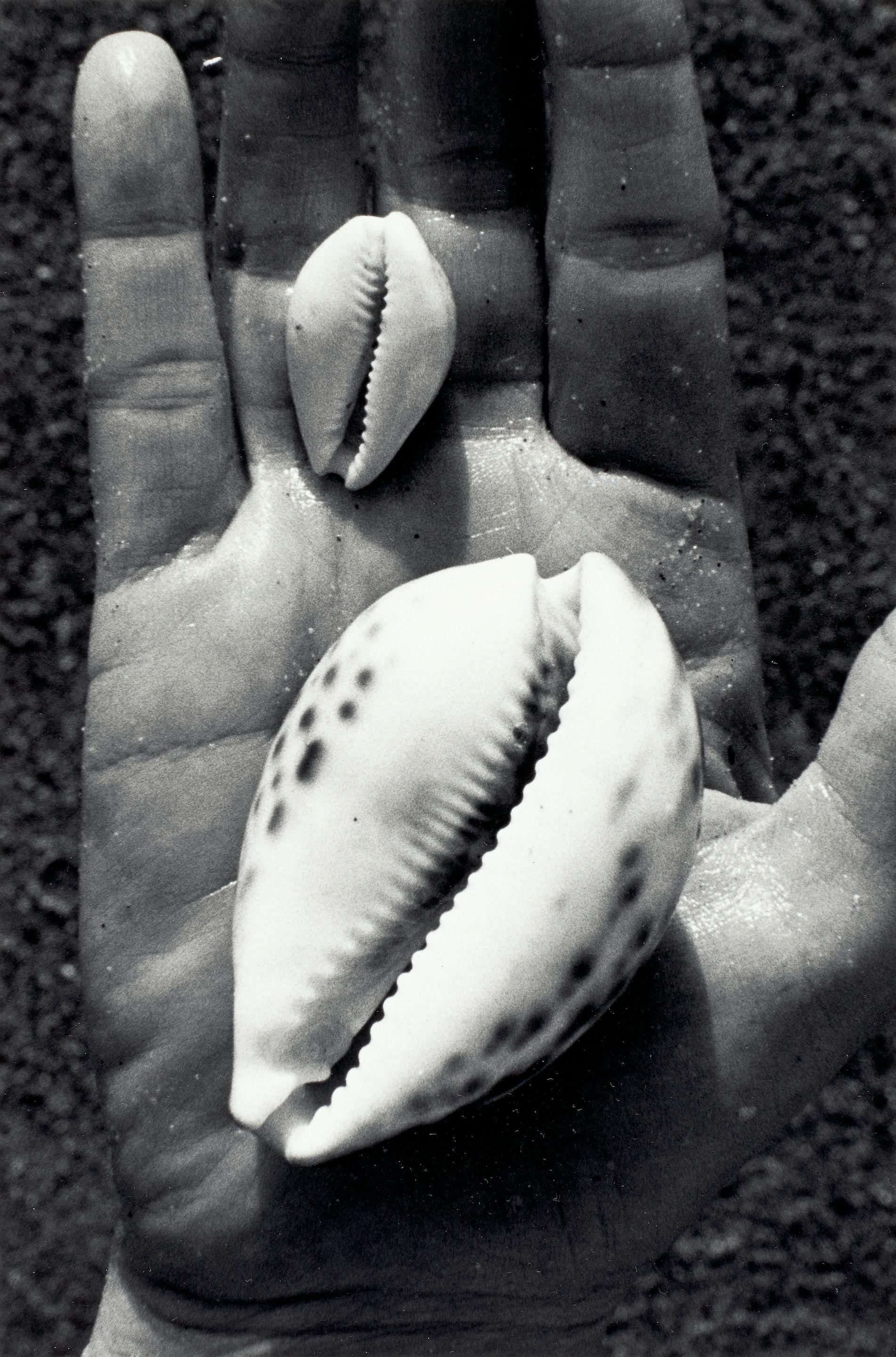 Lou Stoumen - Selected Images of Rocks and Shells (3)