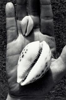 Lou Stoumen - Selected Images of Rocks and Shells (3)