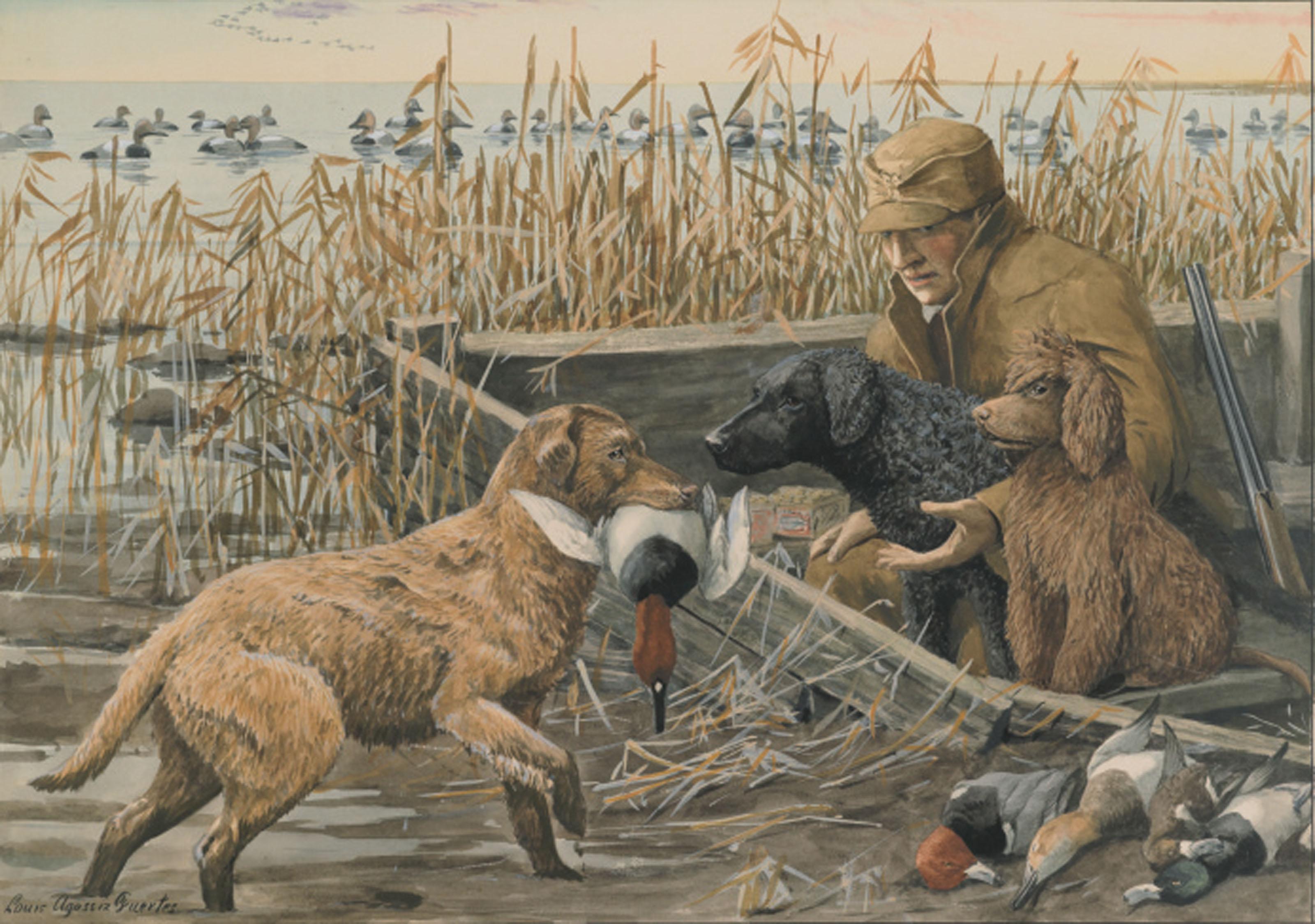 Louis Agassiz Fuertes - A Retriever Brings a Shot Duck Back to a Hunter