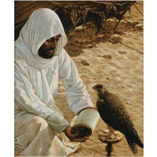 Louis Agassiz Fuertes - American The Falconer