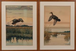Louis Agassiz Fuertes - Five Depictions of Shore Birds and Ducks