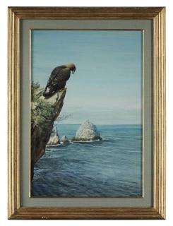 Louis Agassiz Fuertes - Golden Eagle on Catalina Island