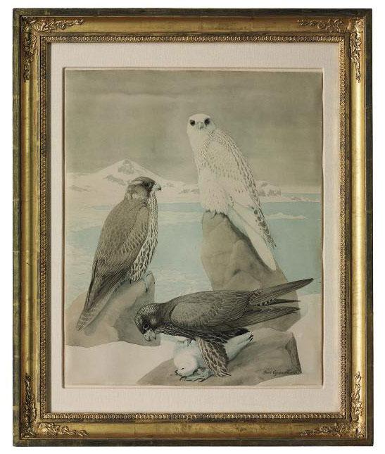 Louis Agassiz Fuertes - Three gyrfalcons
