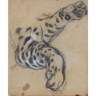 Louis-Antoine-Léon Riesener - Etude De Patte De Fauvel