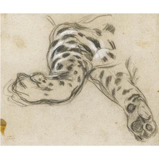 Louis-Antoine-Léon Riesener - Study Of A Leopard\'S Paws