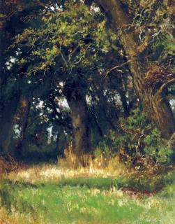 Louis Apol - Boschstudie: the forest edge
