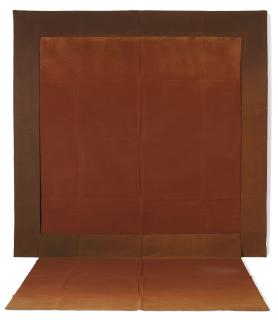 Louis Cane - Sol/Mur