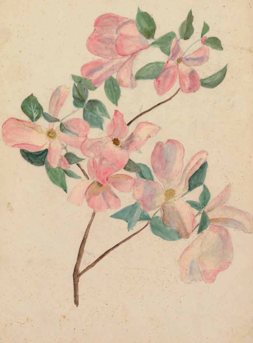 Louis Comfort Tiffany - Dogwood Branch