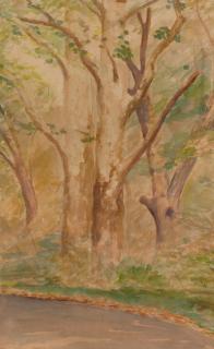 Louis Comfort Tiffany - Sycamores, Main Drive, Laurelton Hall