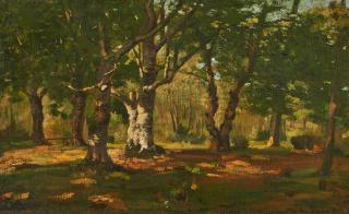 Louis Douzette - Sommerlicher Wald bei Prerow auf Darß.