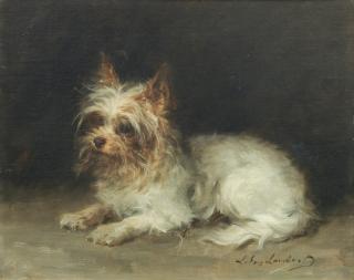 Louis Eugène Lambert - A Seated Terrier