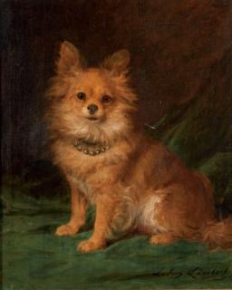 Louis Eugene Lambert - Chien papillon