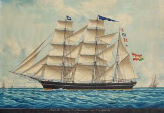 Louis Francois Pr. Roux - Bark \