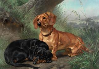 Louis Henry Weston Klingender - Two dachshunds in a landscape