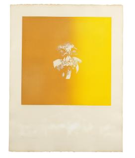 Louis Le Brocquy H.R.H.A. - Mycenean Gold Mask, from Seven Aquatints