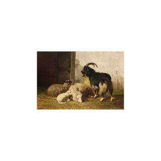 Louis Marie Robbe - Sheep And A Goat In A Stable