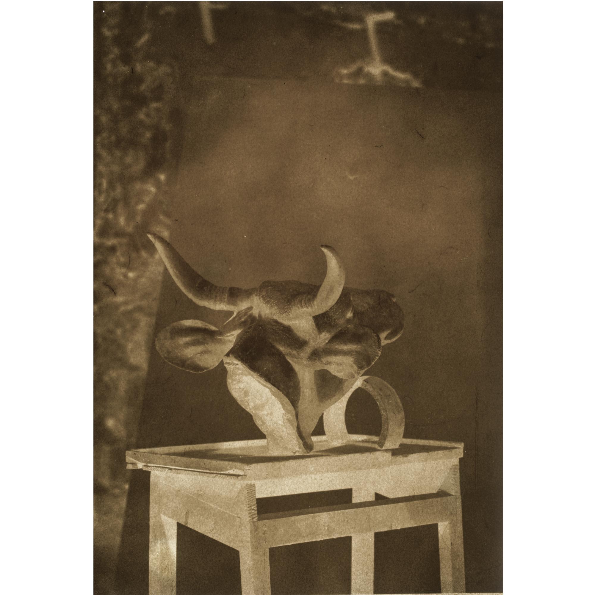 Louis-Rémy Robert - Composition With Cow Head, C. 1853  