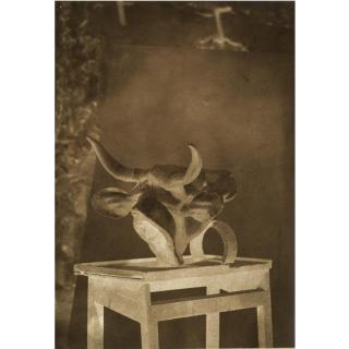 Louis-Rémy Robert - Composition With Cow Head, C. 1853  