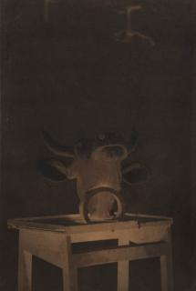 Louis-Rémy Robert - Skull of Cow