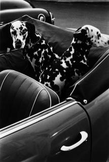 Louis Stettner - »Fifties Graffiti in a Parking Lot«