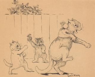 Louis William Wain - Apple Shy