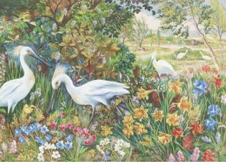 Louis William Wain - Cranes In An Exotic Garden