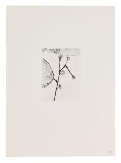 Louise Bourgeois - Homely Girl, A Life