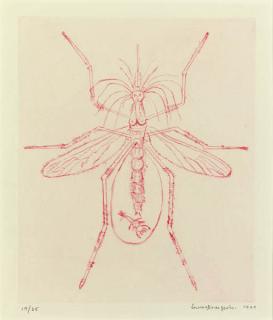 Louise Bourgeois - Mosquito, from 11 Drypoints
