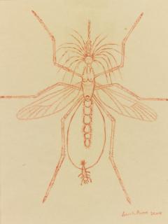 Louise Bourgeois - Mosquito