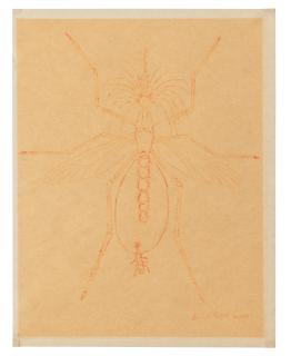 Louise Bourgeois - Mosquito