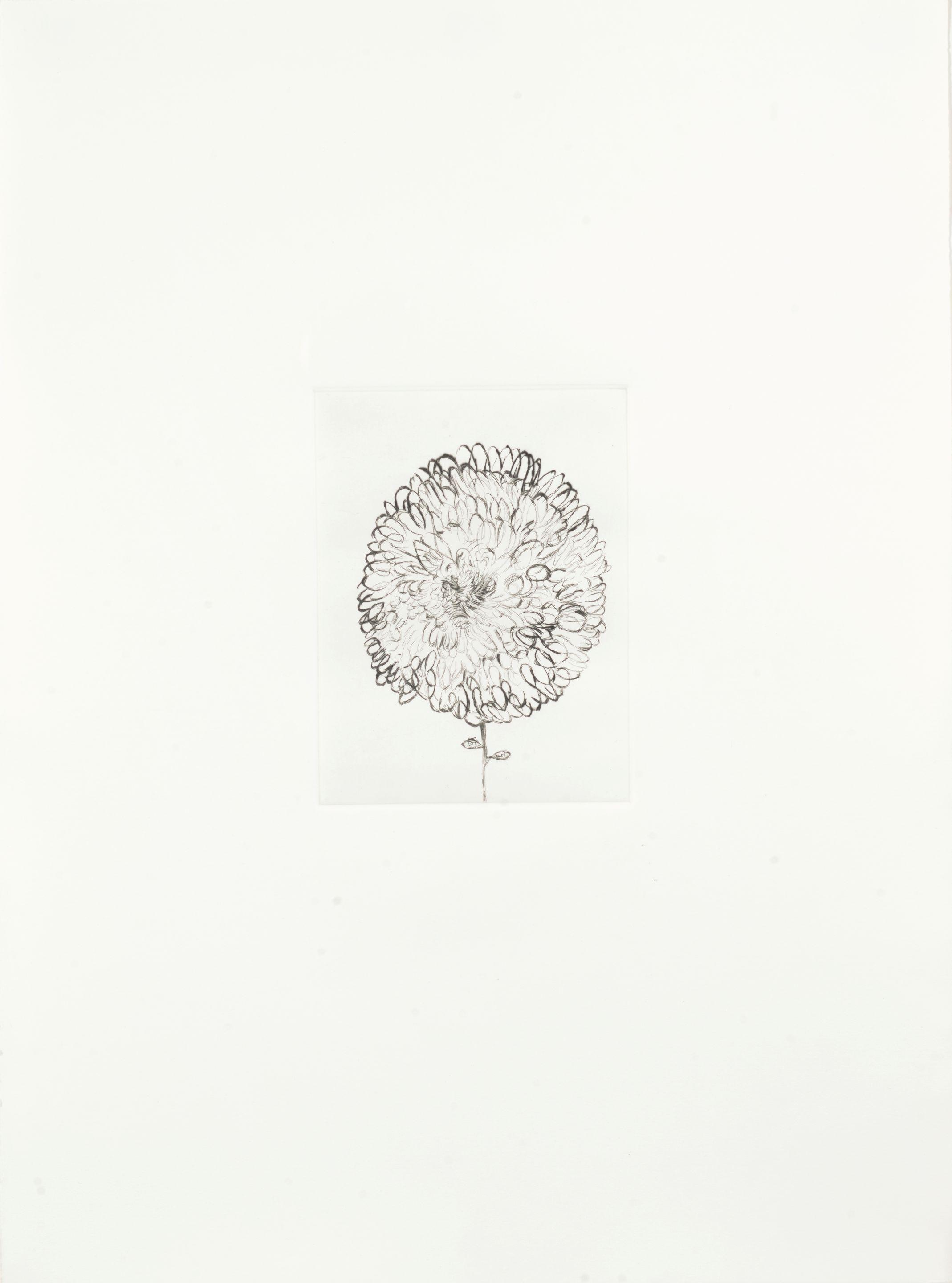 Louise Bourgeois - One plate, from Homely Girl, A Life
