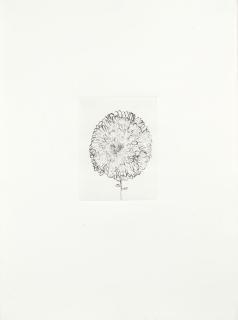 Louise Bourgeois - One plate, from Homely Girl, A Life